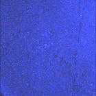 SIF_1916_0837067956_199EBY_N0892556SRLC08062_0000LMJ