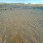 HSF_0268_0690732238_260ECM_N0160001HELI00000_000085J
