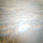 HSF_0375_0700221790_473ECM_N0210001HELI00000_000085J