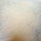 HSF_0423_0704489782_000ECM_N0280001HELI00002_000085J