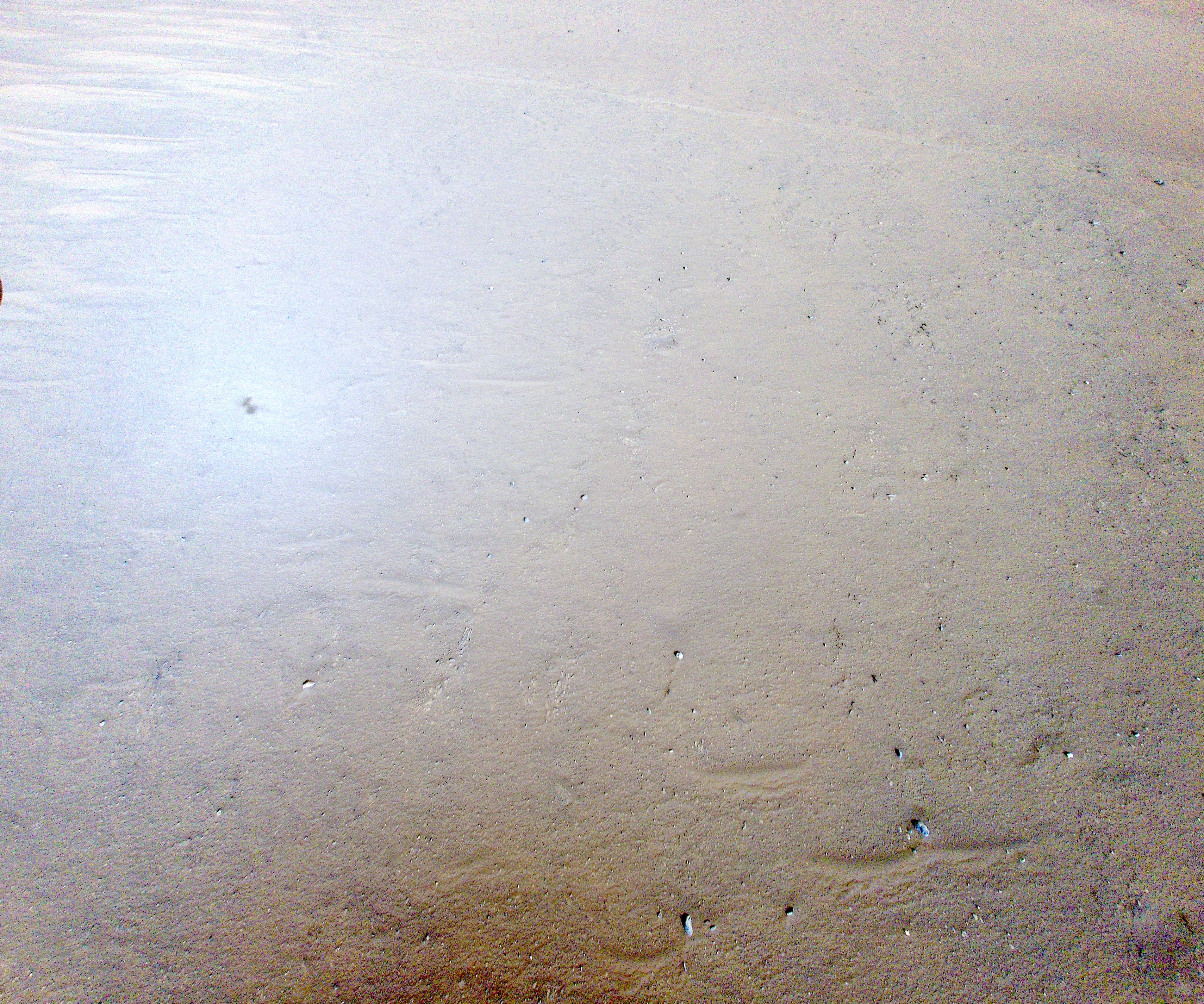 HSF_0561_0716755159_097ECM_N0320001HELI00002_000085J_calib01_areo info